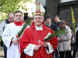 Květná neděle v katedrále sv. Štěpána